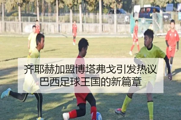 齐耶赫加盟博塔弗戈引发热议 巴西足球王国的新篇章